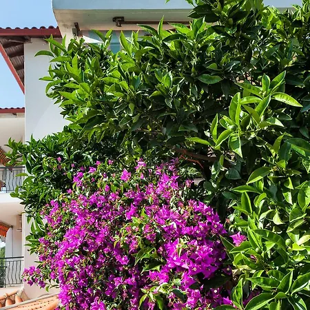 Xenios Loutra Village Mary's House * 아기아 파라스케비